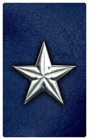 DNSHERT C 430 SL BL Star Silver Blue